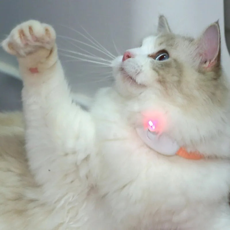 Smart Laser Cat Teaser Collar – Rechargeable Infrared Interactive Toy - WTN Essentials