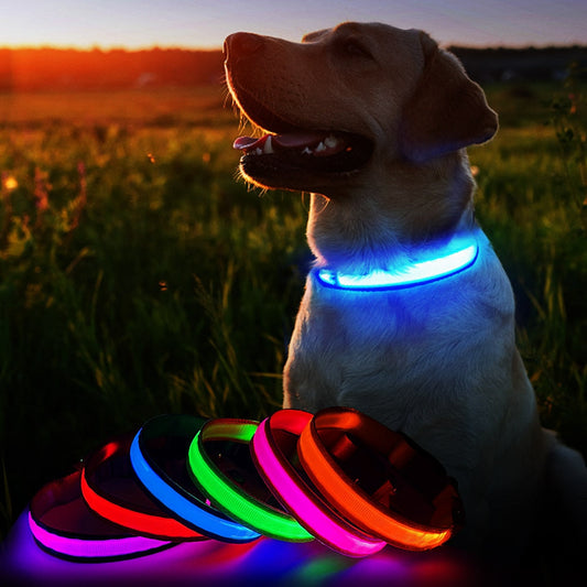 LED Waterproof Safety Dog Collar 💡