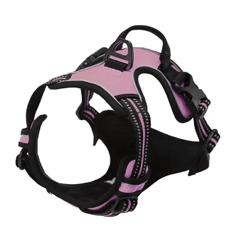 Dog Collar, Harness & Leash Set – Leather for Small & Medium Dogs