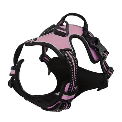 Dog Collar, Harness & Leash Set – Leather for Small & Medium Dogs