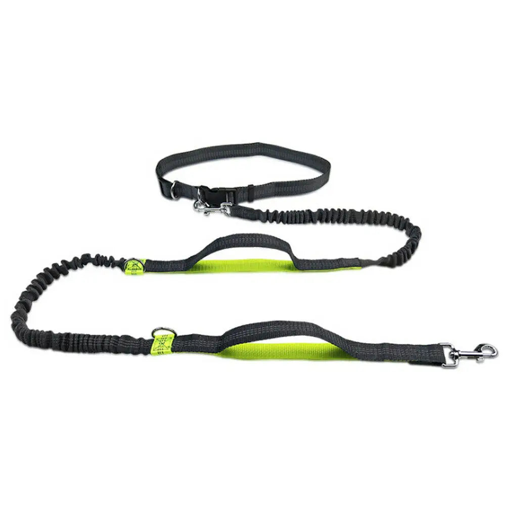 Reflective no-pull pet traction rope from Purrfect Pet Kingdom for safe dog walks at night