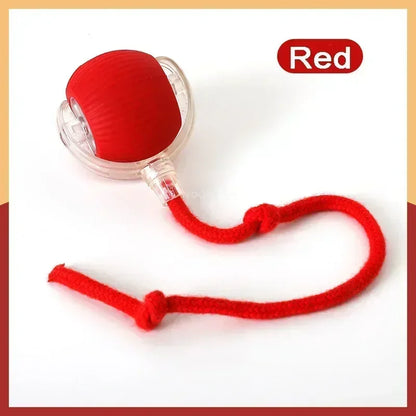 Rechargeable Interactive Smart Cat Toy - Automatic Rolling Ball Pet Accessories