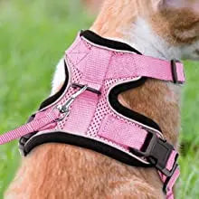 Escape-Proof Cat Harness & Leash Set - Purrfect Pet Kingdom