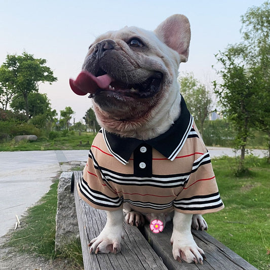 Tan Stripe Polo Dog Shirt