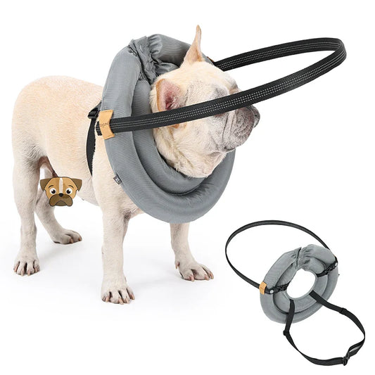 Blind Dog Safety Collar - Purrfect Pet Kingdom