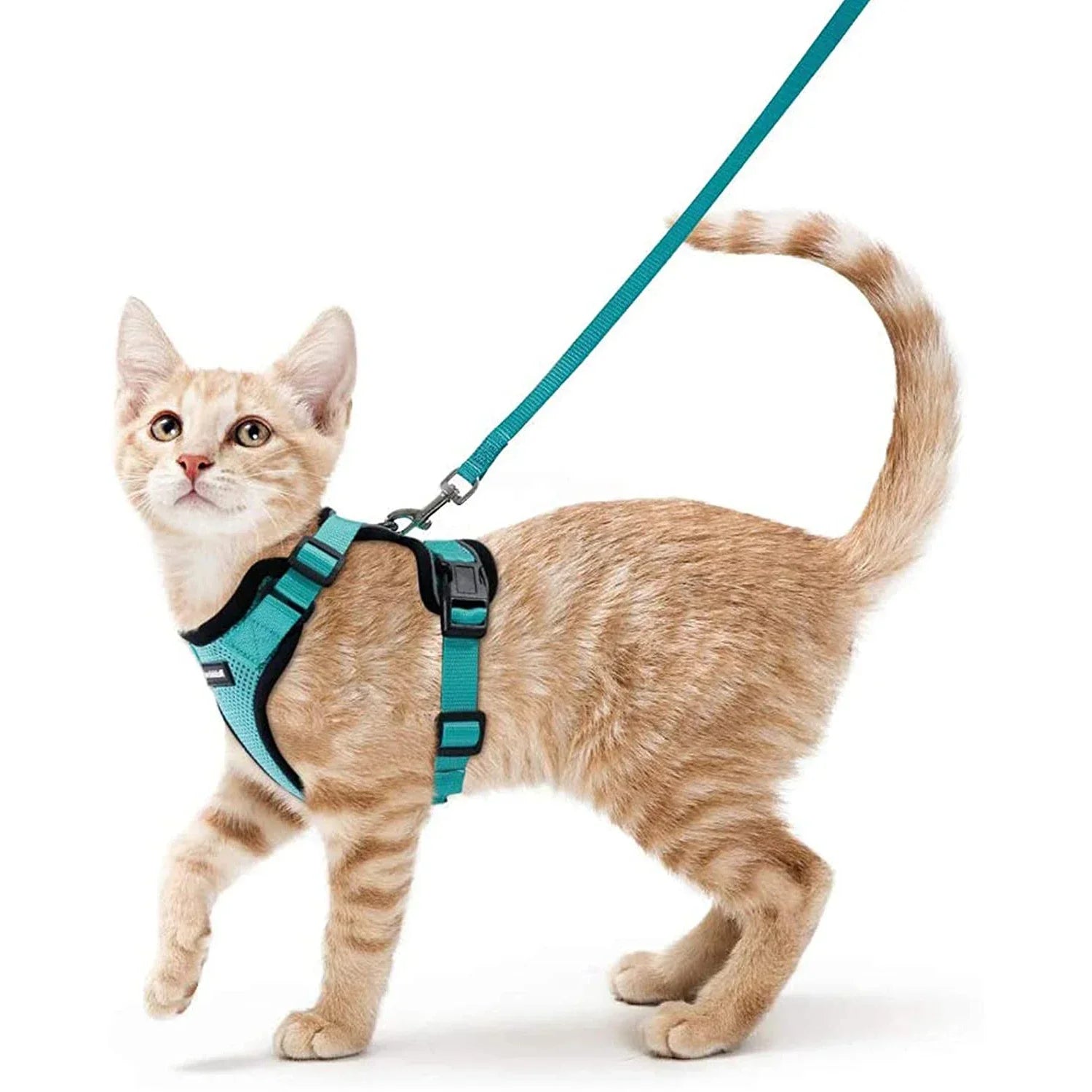 Escape-Proof Cat Harness & Leash Set - Purrfect Pet Kingdom