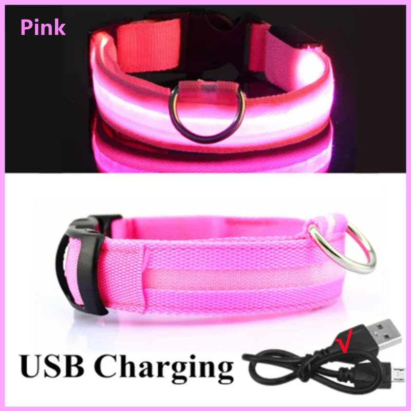 USB Rechargeable LED Glowing Dog Collar – Adjustable Night Safety - WTN Essentials