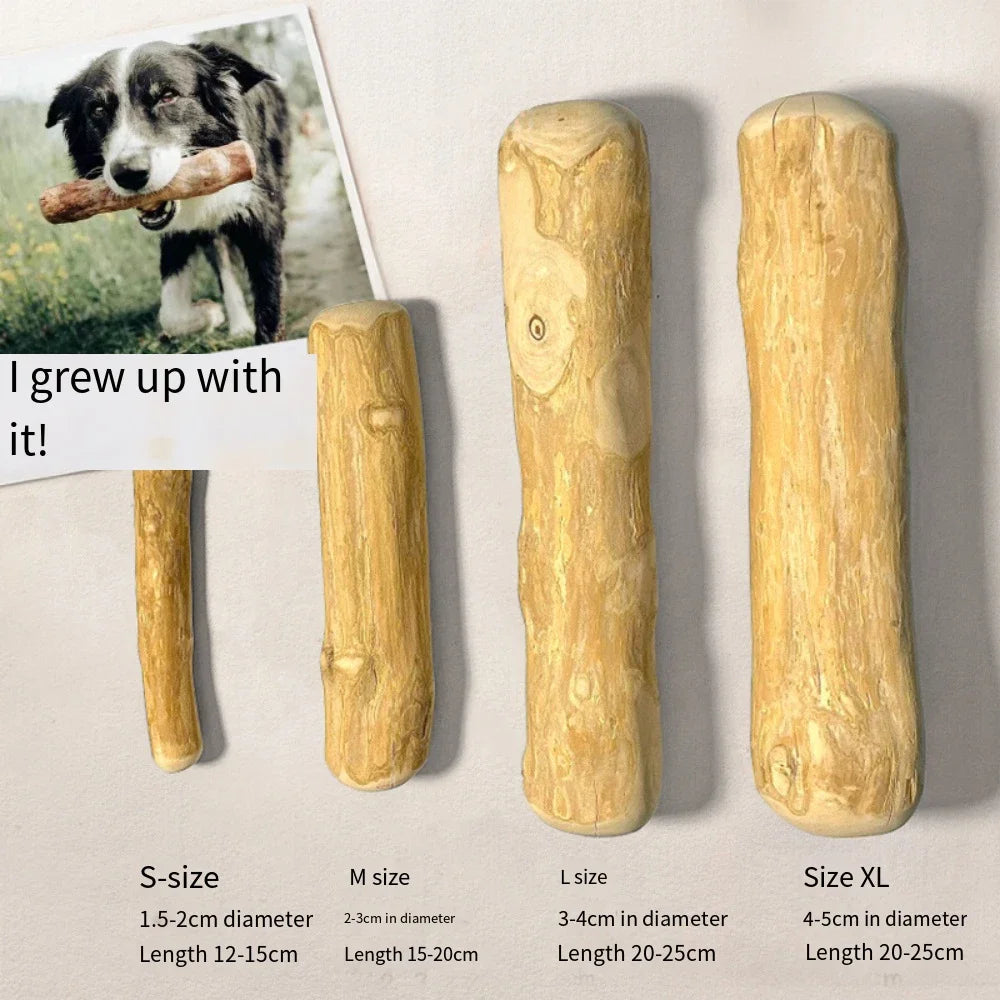 Coffee Wooden Dog Chew Stick – Tooth Pressure Relief Toy - WTN Essentials - 1 pcs - M - 14:29#1 pcs;5:361386