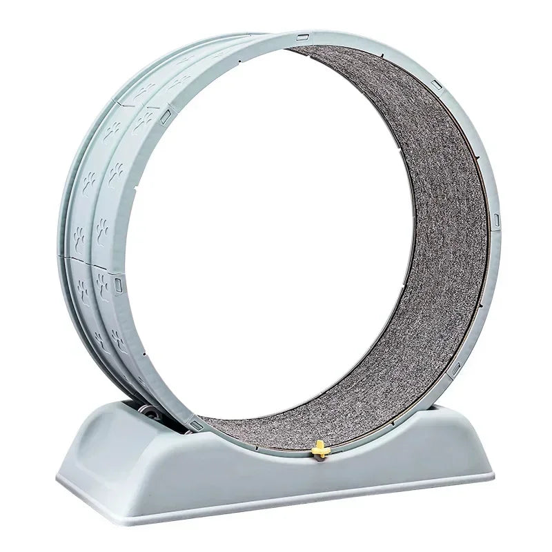 Silent Cat Exercise Wheel - Tail chasers