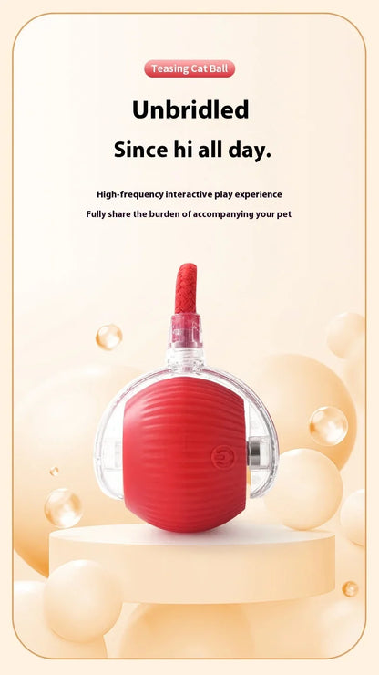 Rechargeable Interactive Smart Cat Toy - Automatic Rolling Ball Pet Accessories