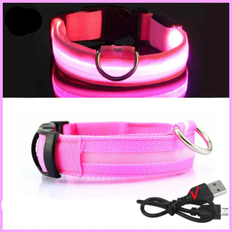 USB Rechargeable LED Glowing Dog Collar – Adjustable Night Safety - WTN Essentials - Pink USB Charging - XS Neck 28 - 38 cm - 14:496#Pink USB Charging;200007763:201336100;5:100014066#XS Neck 28 - 38 cm