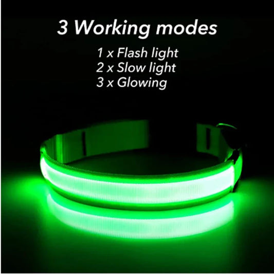 USB Rechargeable LED Glowing Dog Collar – Adjustable Night Safety - WTN Essentials