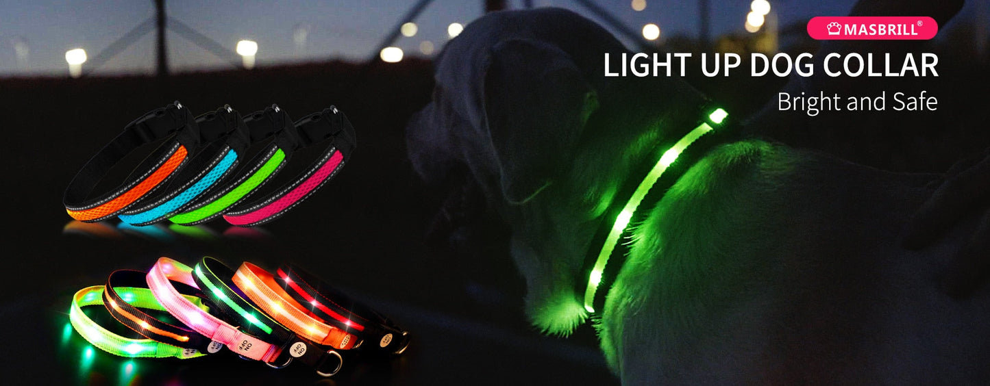 LED Waterproof Safety Dog Collar 💡