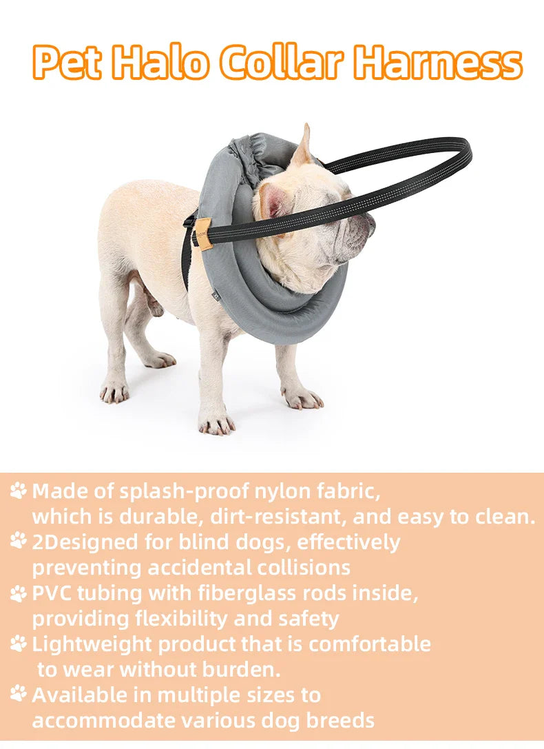 Blind Dog Safety Collar - Purrfect Pet Kingdom