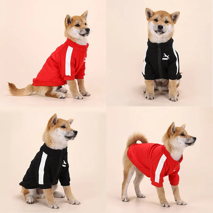Cozy Dog Sweater - Winter Pet Clothing