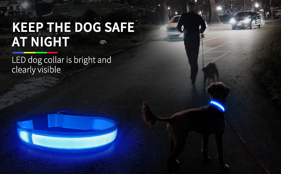 Luminous Dog Collar Waterproof Safety 🌟