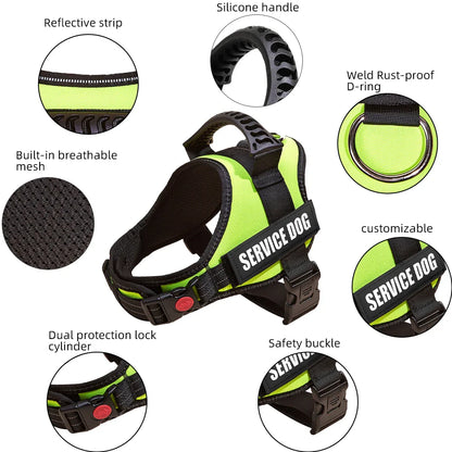 Safety No-Pull Harness for Small Dogs
