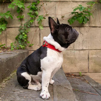 Premium Leather Dog Collar with AirTag Holder - Anti-Lost Pet Tracking