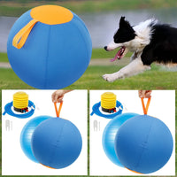 Herding PlayPro: Inflatable Agility Ball for Dogs