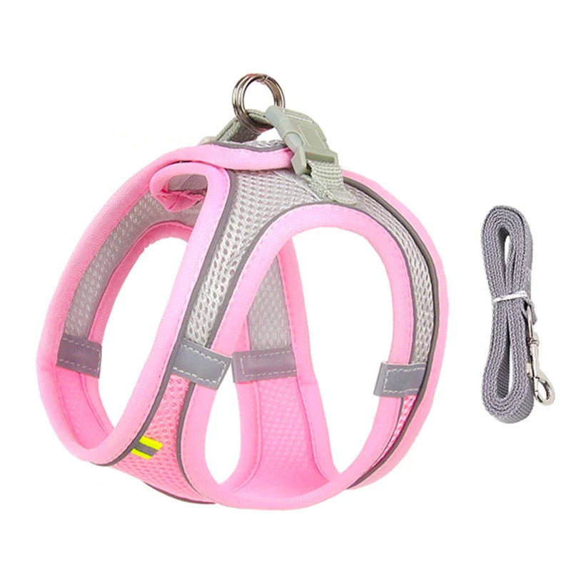 Small Dog Harness Set - Purrfect Pet Kingdom