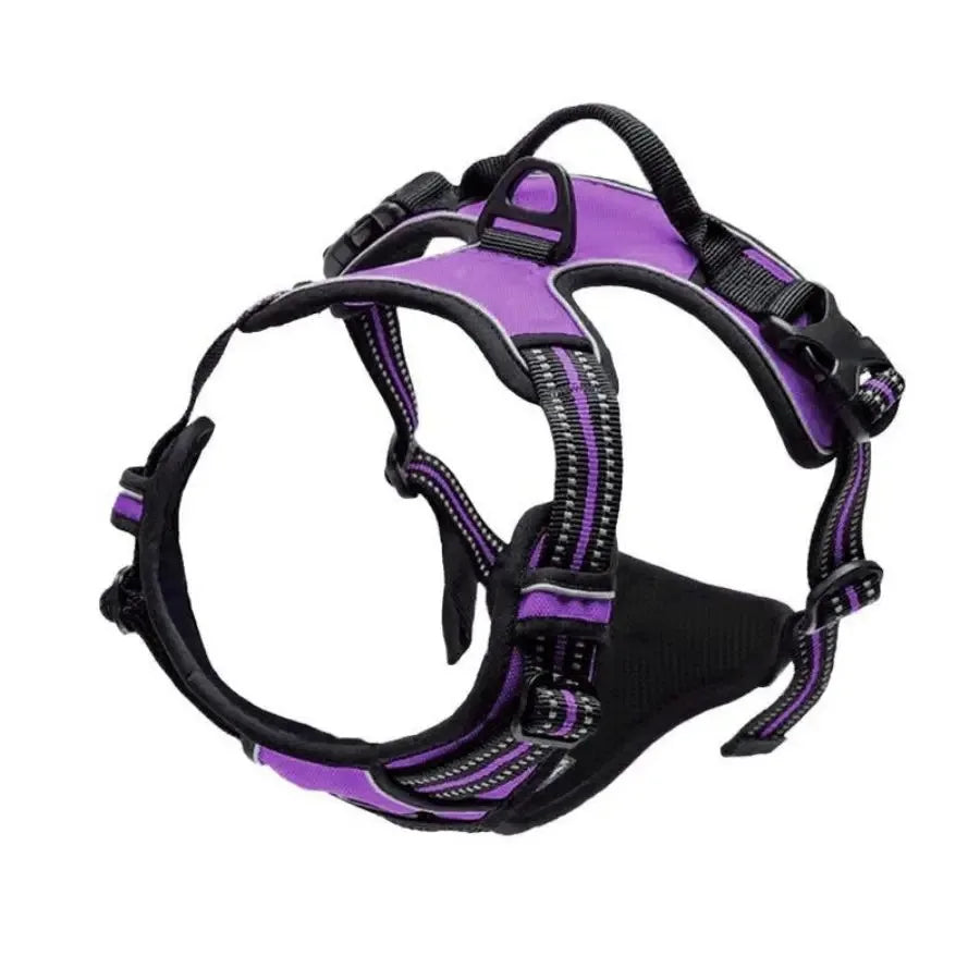 Dog Collar, Harness & Leash Set – Leather for Small & Medium Dogs