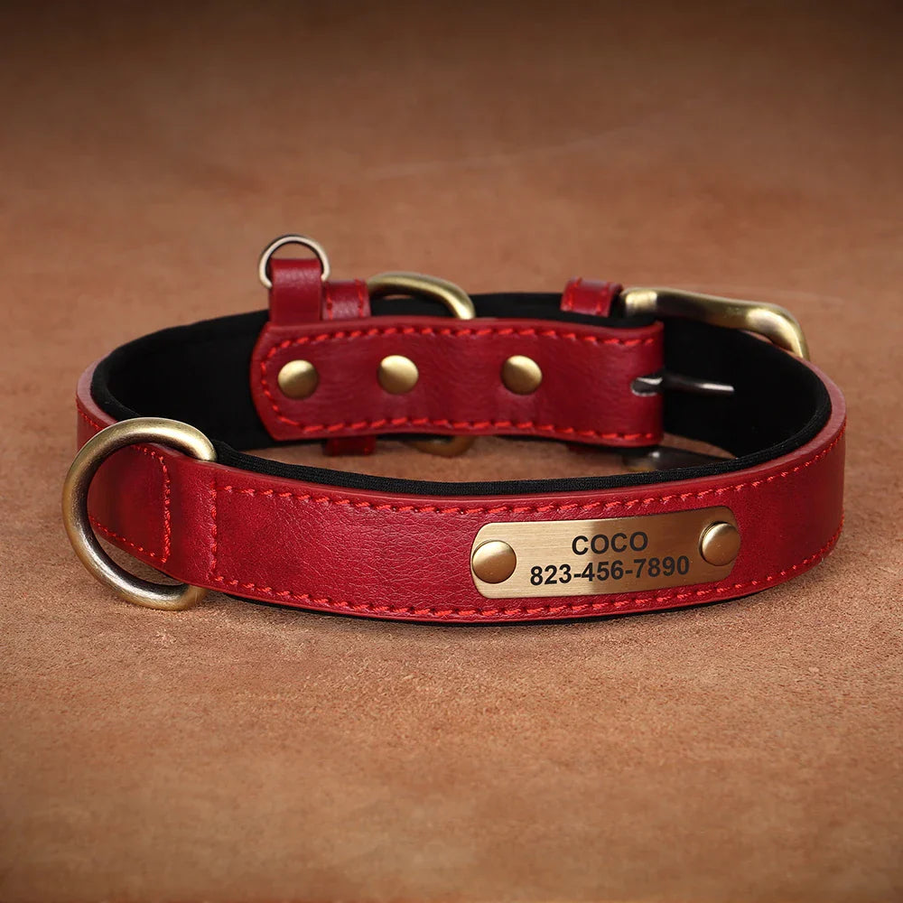 Personalized PU Leather Dog Collar with Custom Engraved ID Tag - WTN Essentials