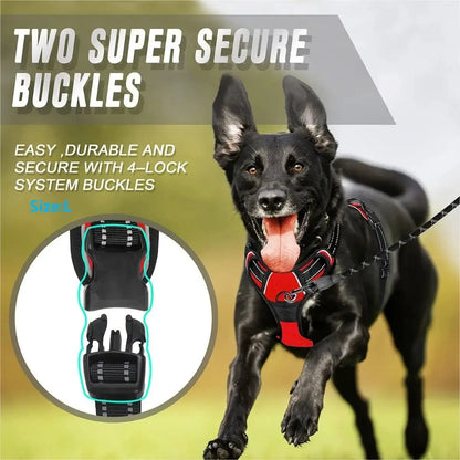 Dog Collar, Harness & Leash Set – Leather for Small & Medium Dogs