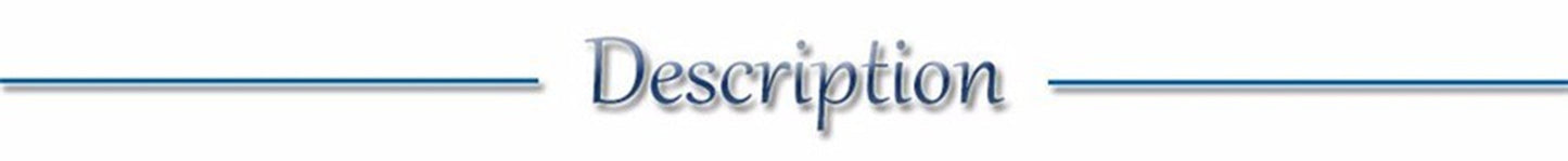 USB Rechargeable LED Glowing Dog Collar – Adjustable Night Safety - WTN Essentials