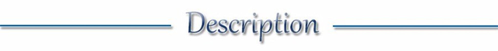 USB Rechargeable LED Glowing Dog Collar – Adjustable Night Safety - WTN Essentials