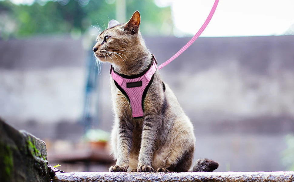 Escape-Proof Cat Harness & Leash Set - Purrfect Pet Kingdom