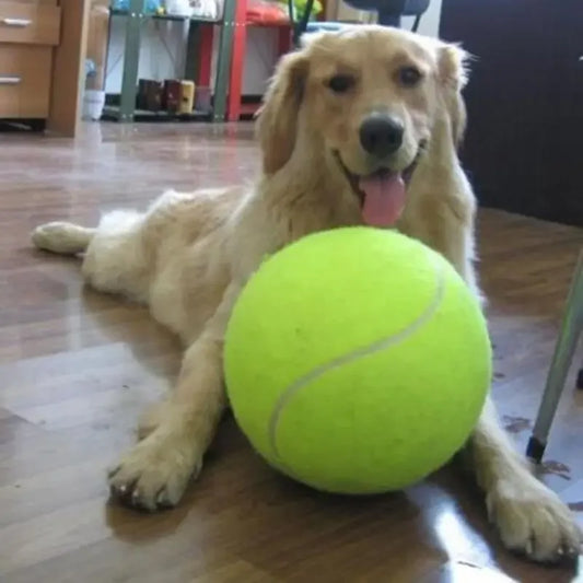 Giant Dog Tennis Ball 7 8 9.5 Inch Chew Training 🎾
