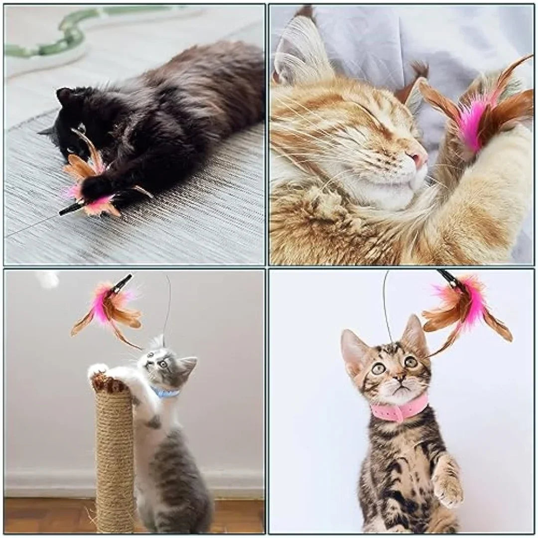 Adjustable Cat Collar Feather Teaser Toy with Bell - WTN Essentials