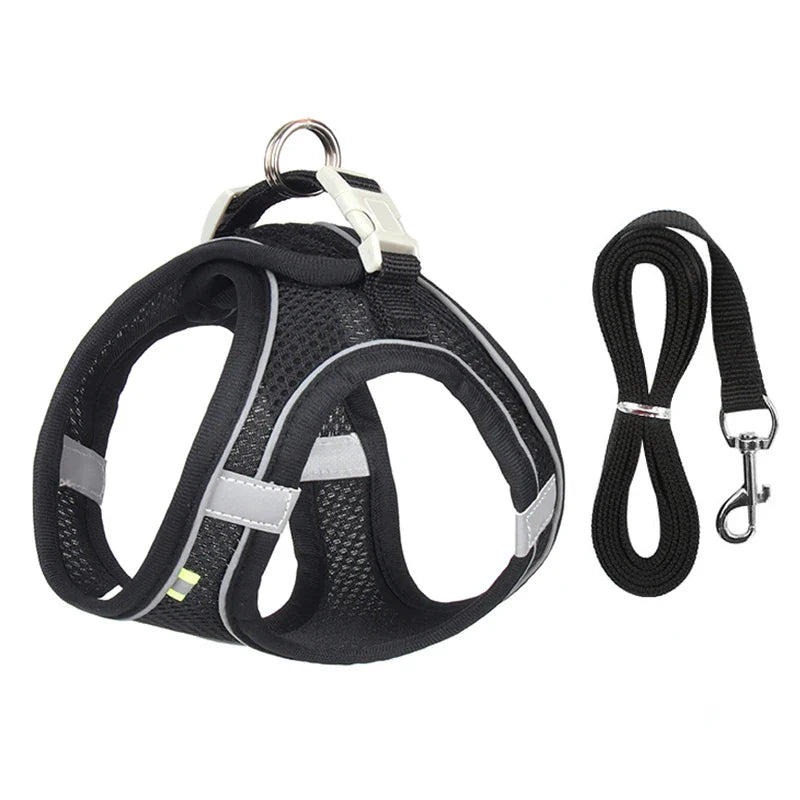 Small Dog Harness Set - Purrfect Pet Kingdom