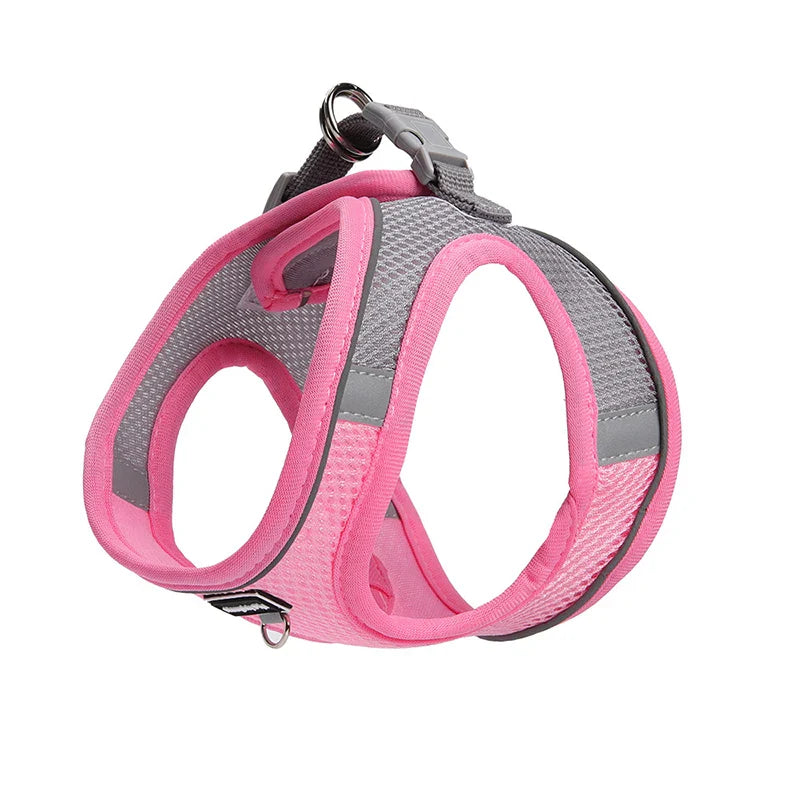 Adjustable Dog Harness & Leash Set for Small Dogs – Comfortable & Safe Walking Gear - WTN Essentials