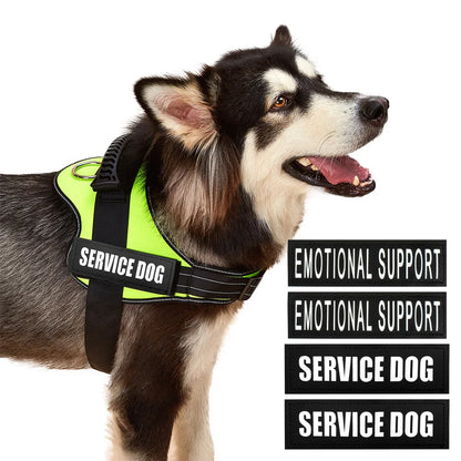 Safety No-Pull Harness for Small Dogs