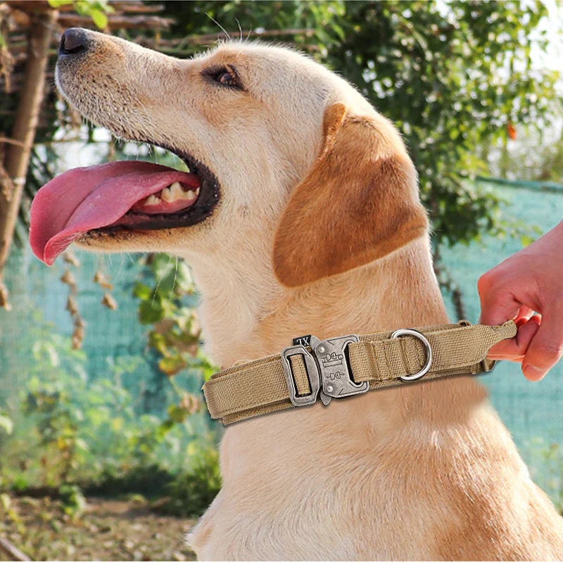 Durable Nylon Dog Collar & Reflective Leash Set – Tactical Training - WTN Essentials