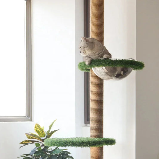 Cat Tree Floor To Ceiling Height Adjustable Tall 🐱