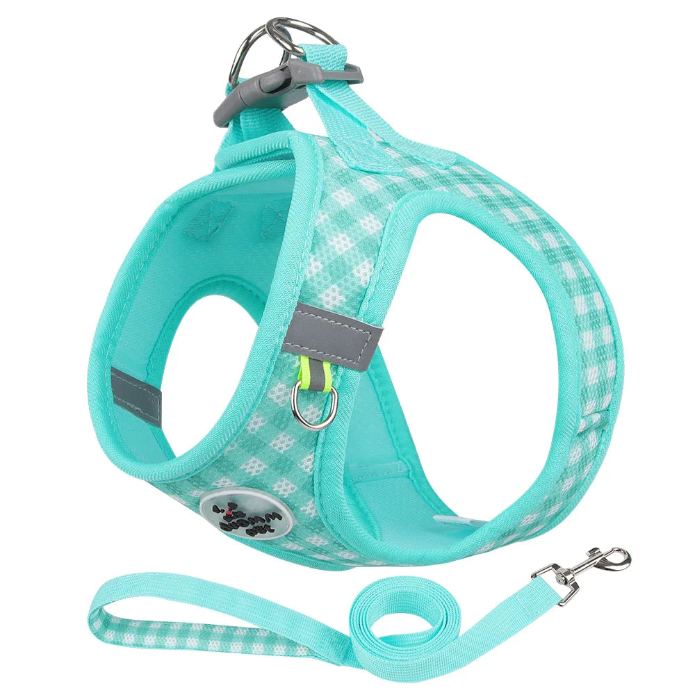 Checkered Dog Harness and Leash Set for Safe Pet Walking