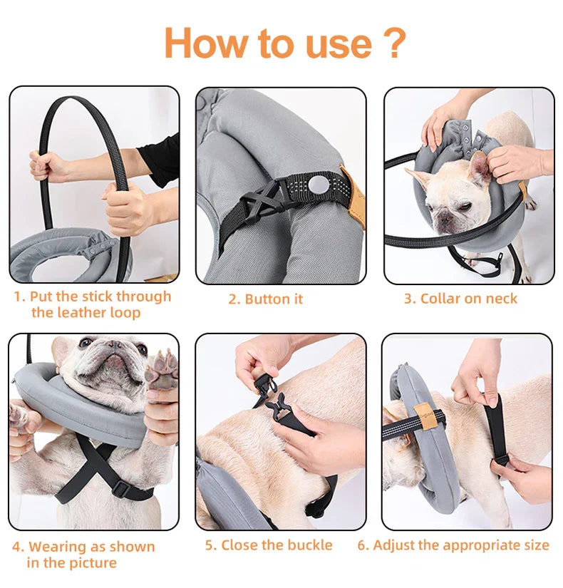 Blind Dog Safety Collar - Purrfect Pet Kingdom