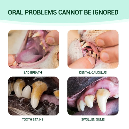 Complete Pet Dental Kit - Fresh Breath & Ear Care