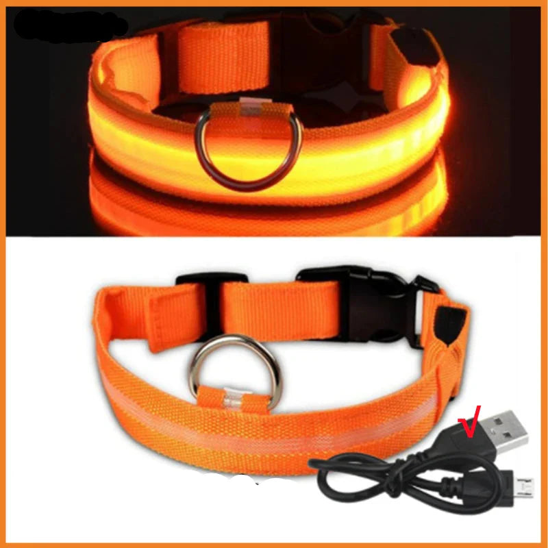 USB Rechargeable LED Glowing Dog Collar – Adjustable Night Safety - WTN Essentials