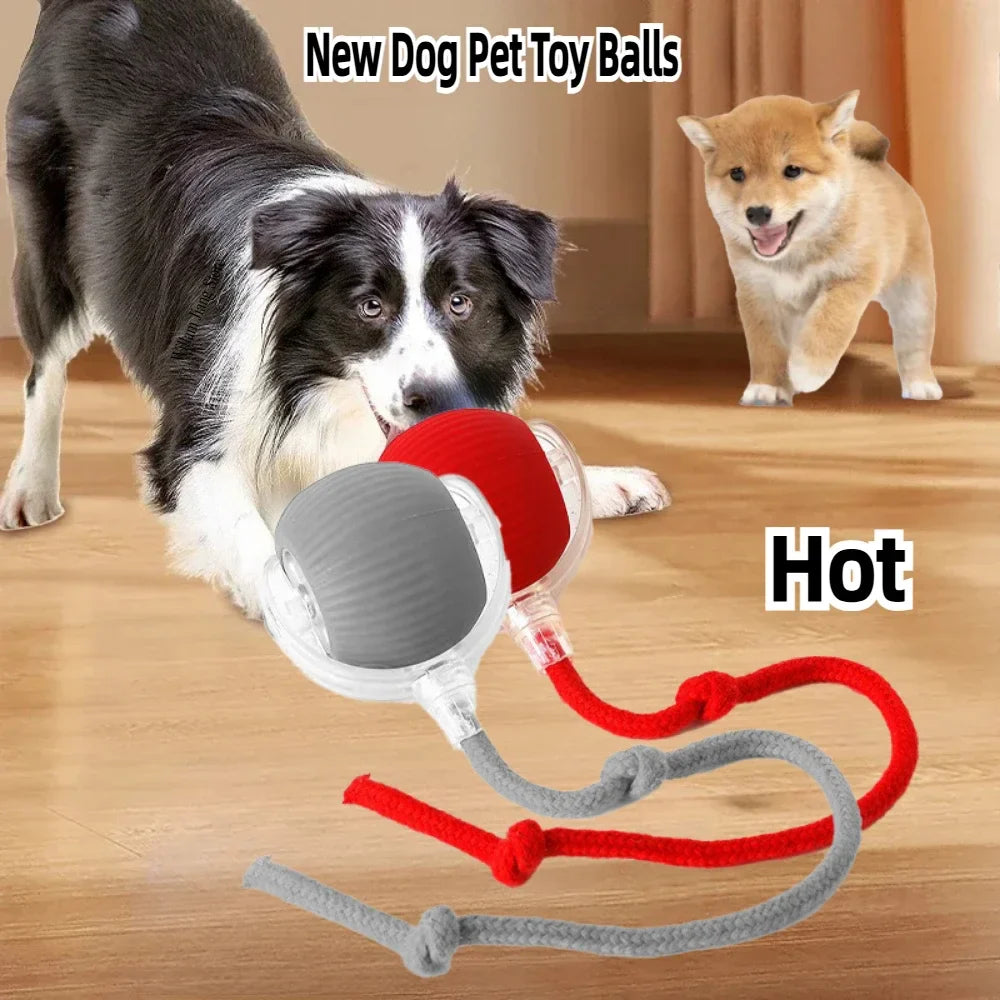 Rechargeable Smart Pet Interactive Automatic Rolling Ball