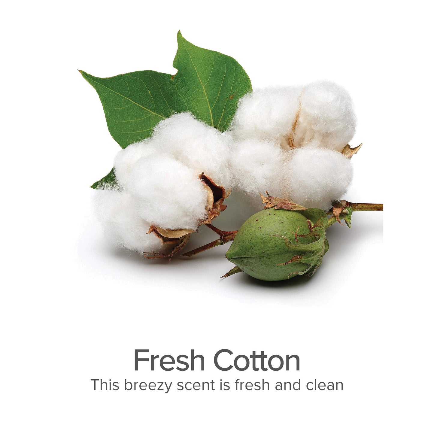 Fresh Cotton Deodorizing Dog Spray for Luxurious Clean Coats