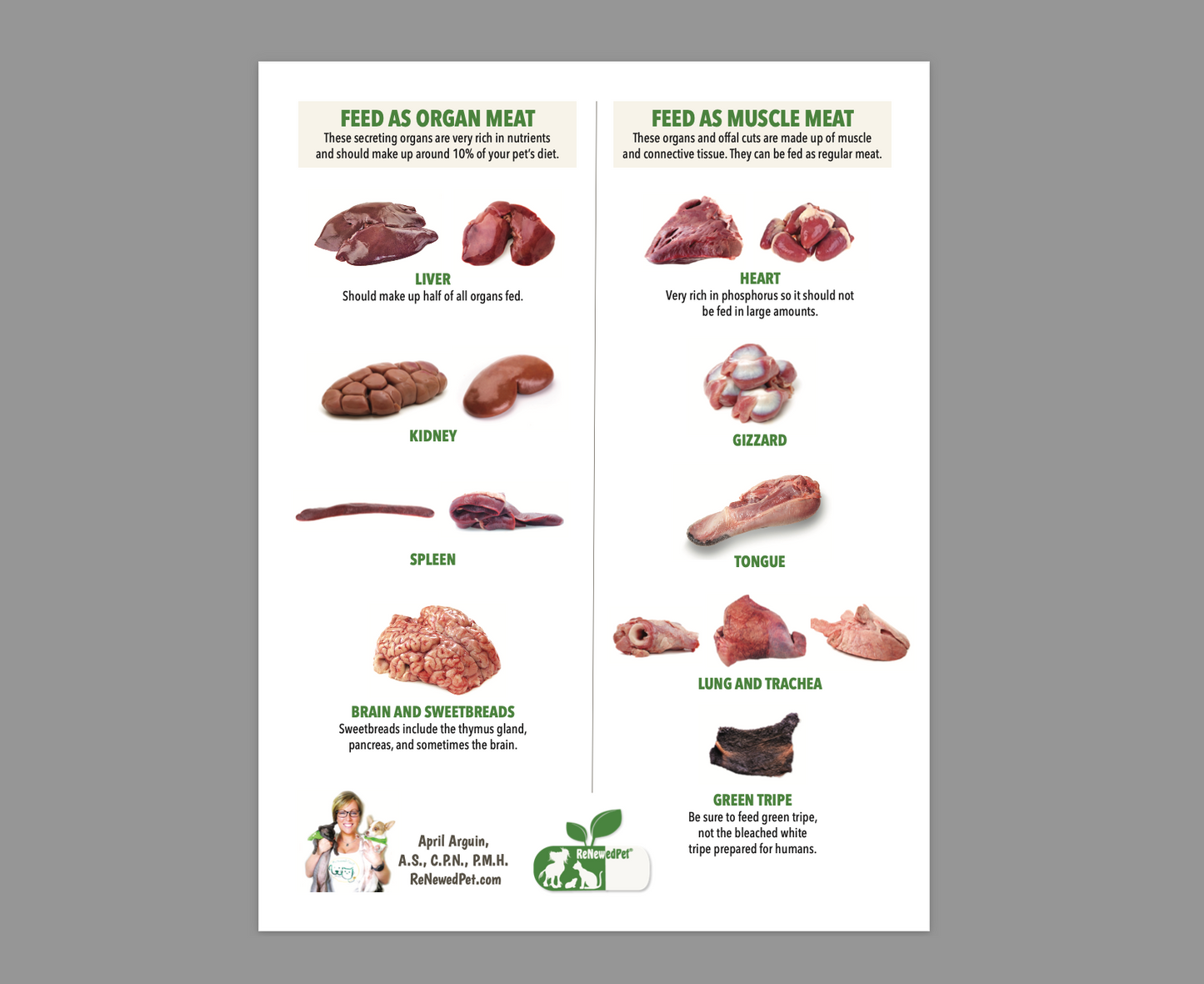 Best Organ Meats to Feed Your Pets - ReNewedPet