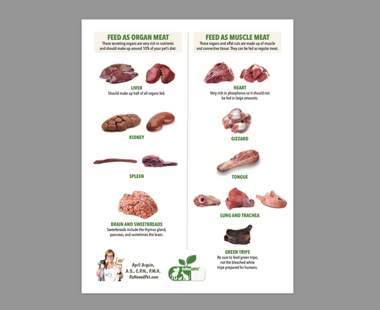 Best Organ Meats to Feed Your Pets - ReNewedPet