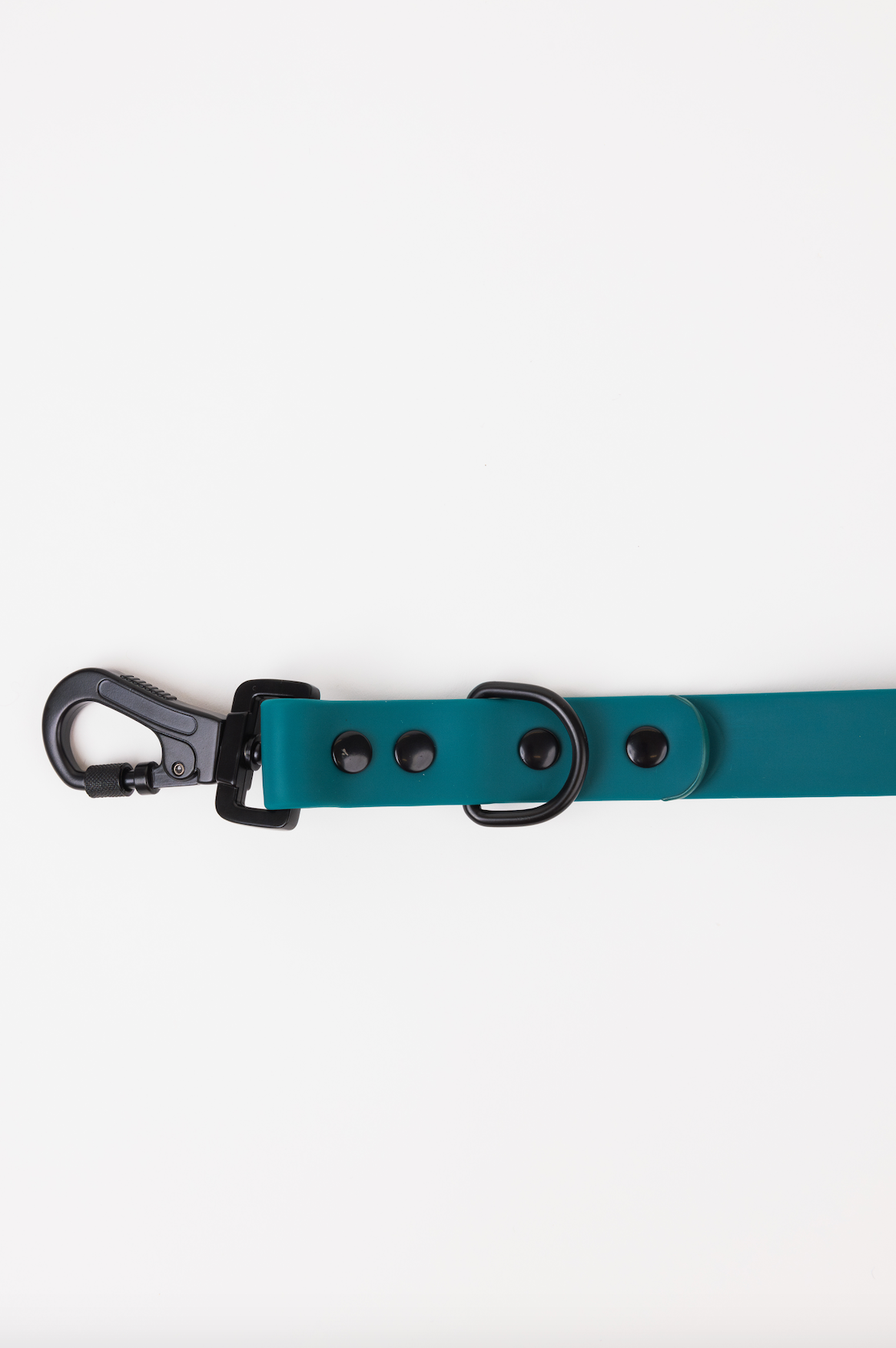 Dog Leash Forest Green Adjustable 60in 3 Lengths