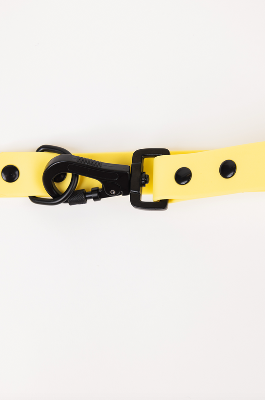 Dog Leash Daffodil Yellow Adjustable 60in 3 Lengths
