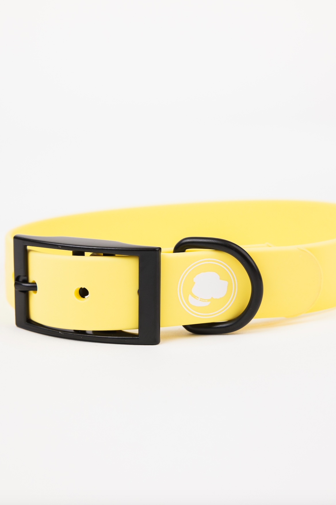 Dog Collar Daffodil Yellow Weather Odor Resistant