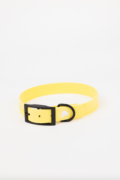 The Modern Dog Company - Daffodil Yellow Collar (Weather +