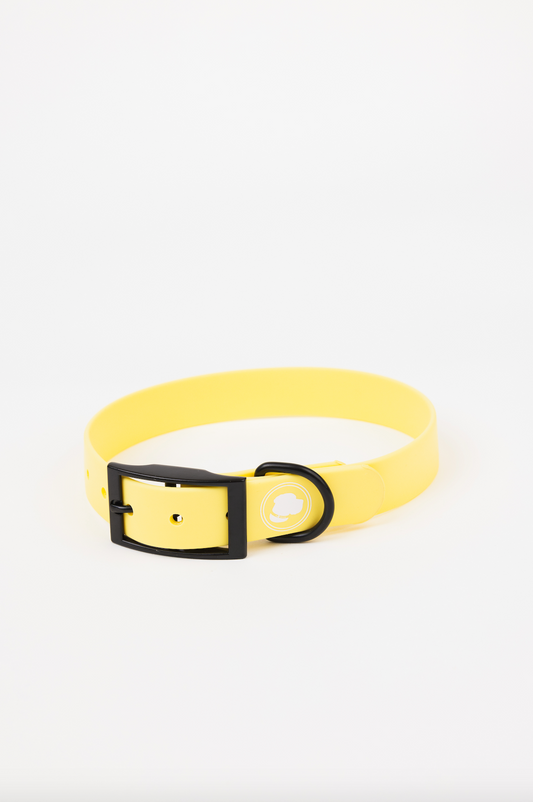 Dog Collar Daffodil Yellow Weather Odor Resistant